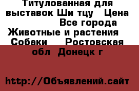 Титулованная для выставок Ши-тцу › Цена ­ 100 000 - Все города Животные и растения » Собаки   . Ростовская обл.,Донецк г.